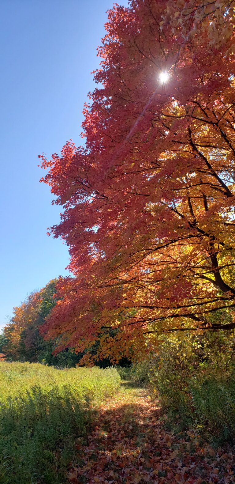 20201011 122005